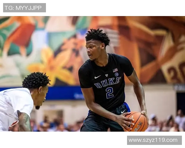 卡姆雷迪什在NBA的崛起与挑战：从新秀到明星的成长之路