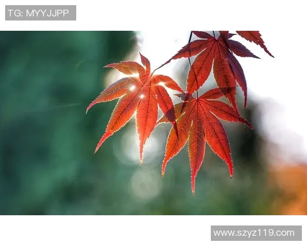 马丁内利的崛起与未来展望：年轻天才如何改变足球格局